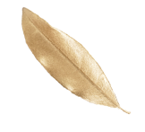 leaf 1